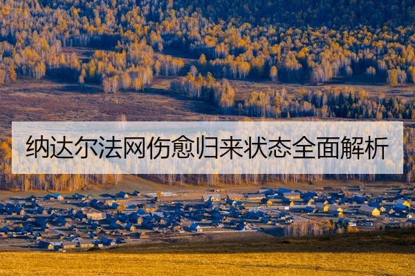 na-da-er-fa-wang-shang-yu-gui-lai-zhuang-tai-quan-mian-jie-xi-2-458.jpg